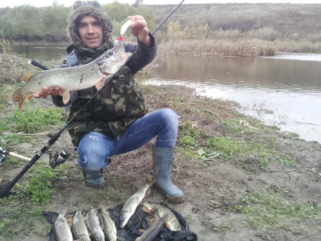 tancabesti - 20121114151140.jpg